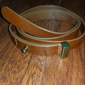 Everlane Genuine Leather Skinny Belt